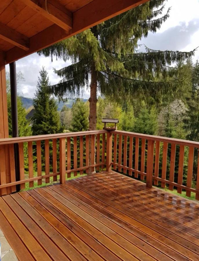 Gierkowka - Gorska Rezydencja Pierwszego Sekretarza Zwardoń Extérieur photo